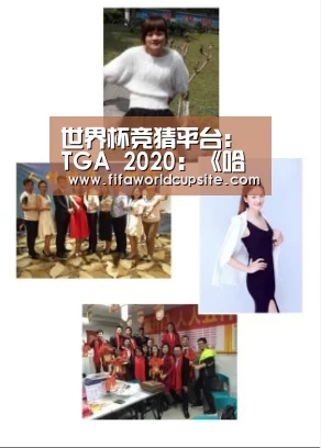 世界杯竞猜平台：
TGA 2020：《哈迪斯》获得最佳行动游戏